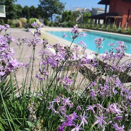 Appartamenti Villa Gloria Peschiera del Garda Exterior foto
